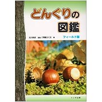 どんぐりページ Amazon.co.jp: フィールド版どんぐりの図鑑 : 伊藤 ふくお: 本